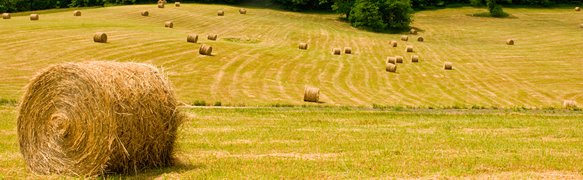 Agricultural Real Estate Agricultural Real Estate